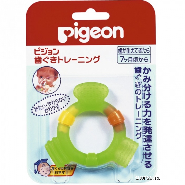  PIGEON -  7-    - 
