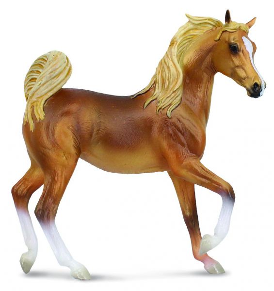 collecta-1