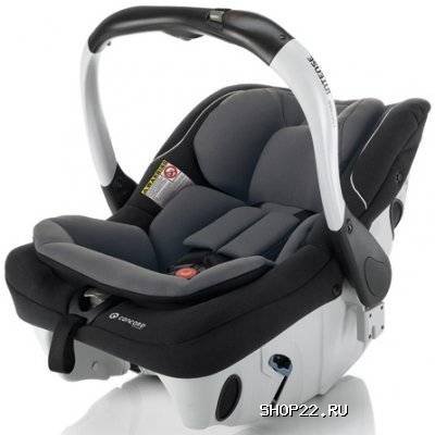 ���������� Concord Intense