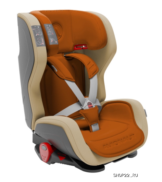 ������ AVIONAUT ���������� EVOLVAIR  9-36�� � �������� - ����
