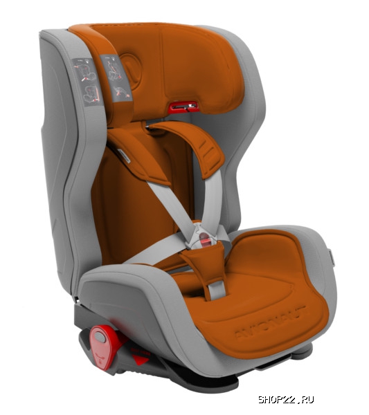 ������ AVIONAUT ���������� EVOLVAIR  9-36�� � �������� - ����