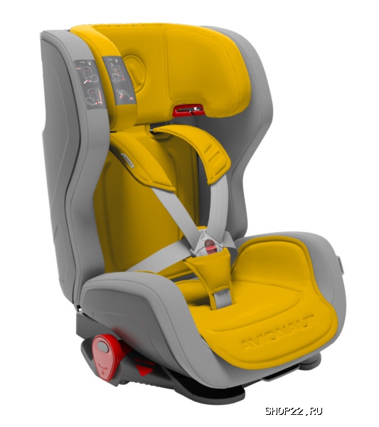 ������ AVIONAUT ���������� EVOLVAIR  9-36�� � �������� - ����