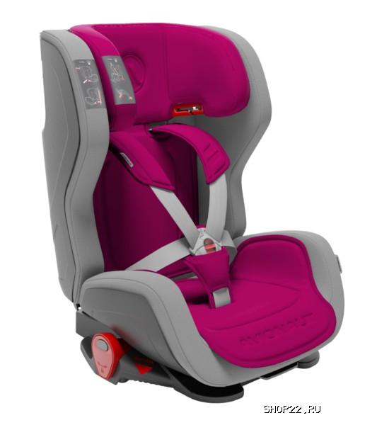������ AVIONAUT ���������� EVOLVAIR  9-36�� � �������� - ����