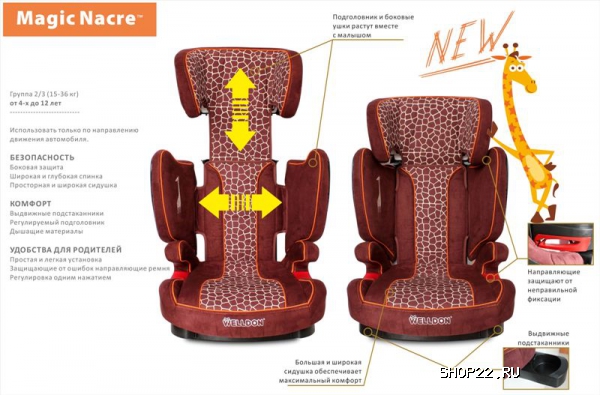 ������ Welldon Magic Nacre � �������� - ����