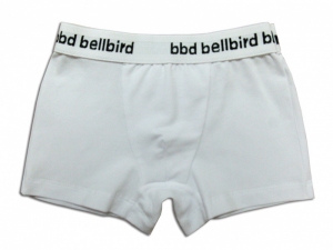 ������ ������� � �������� - ����