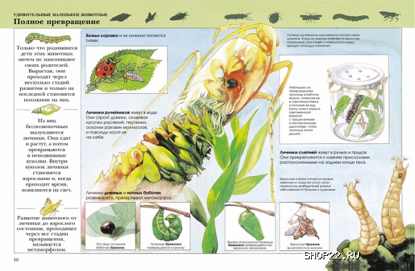 ������ ������ ������� ������� ������������ 978-5-353-00408-0 � ���. 5��. � �������� - ����