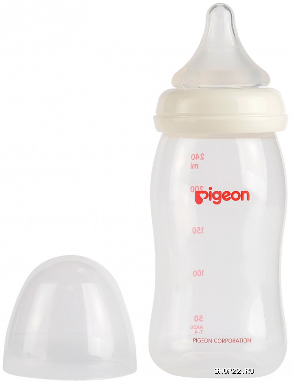  PIGEON         240,    - 