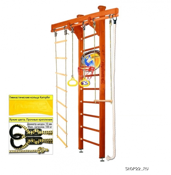    Kampfer Wooden Ladder Ceiling Basketball Shield [1   3 ]   - 