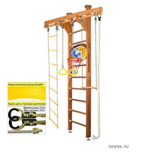    Kampfer Wooden Ladder Ceiling Basketball Shield [1   3 ]   - 