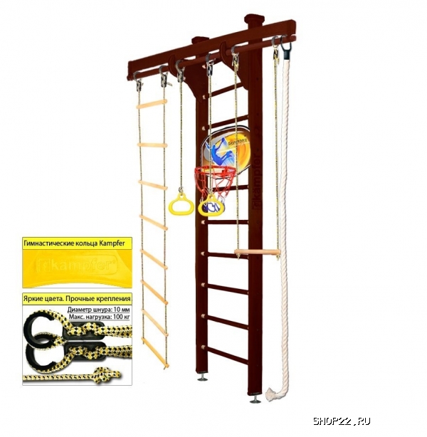    Kampfer Wooden Ladder Ceiling Basketball Shield [1   3 ]   - 