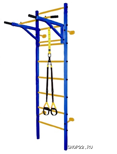 ������ �������� ������ Midzumi Katashi plus [�����/������; ������] � �������� - ����