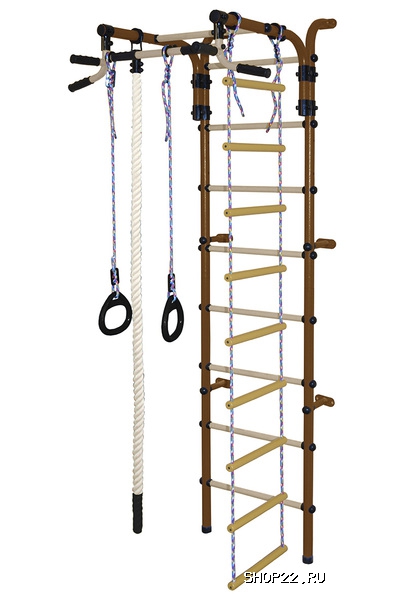 ������ ������� ���������� �������� ��������-4� ���ѻ ������� �������� � �������� - ����