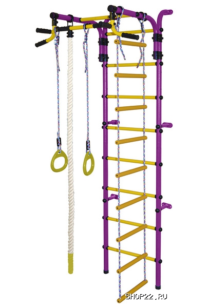 ������ ������� ���������� �������� ��������-4� ���ѻ ������� �������� � �������� - ����