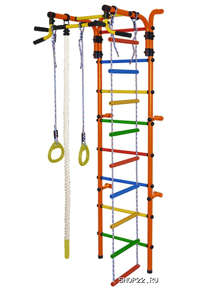 ������ ������� ���������� �������� ��������-4� ���ѻ ������� �������� � �������� - ����