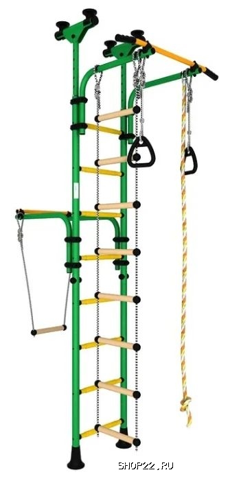 ��� �������� ��������-1 Romana (����-2-8.06.�1.490.01-22)