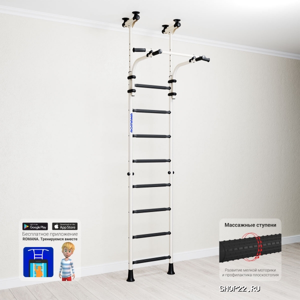 ��� R8 Romana (����-2-8.06.�2.490.01-01)