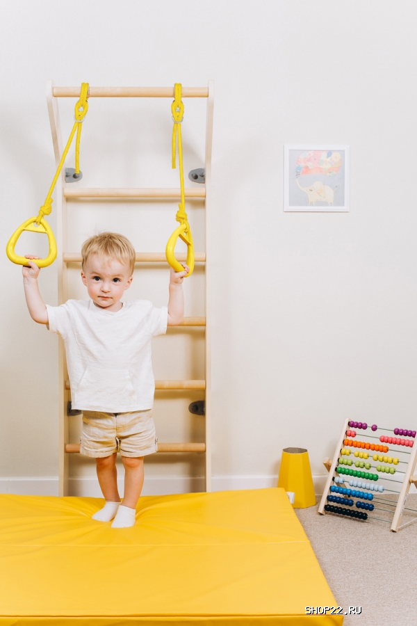 ������ �������� ������ ROMANA Luna 2 ����-2�-6.04.�.00 � �������� - ����