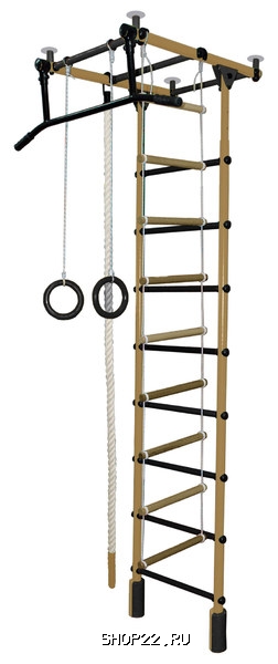 ������ ������� ���������� �������� �������-1� ���� ������� �������� � �������� - ����