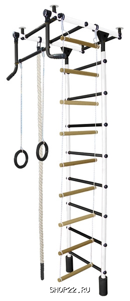 ������ ������� ���������� �������� �������-2� ���� ������� �������� � �������� - ����