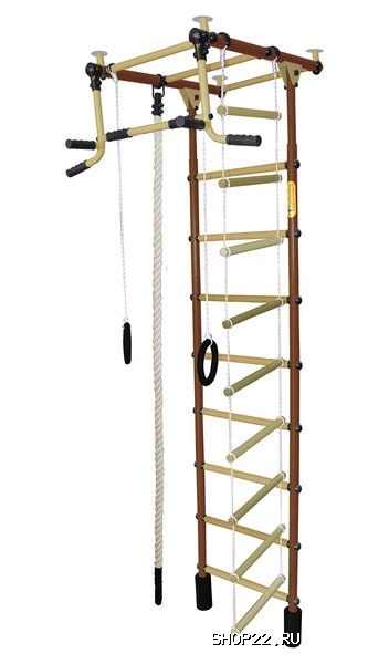 ������ ������� ���������� �������� �������-4� ���� ������� �������� � �������� - ����