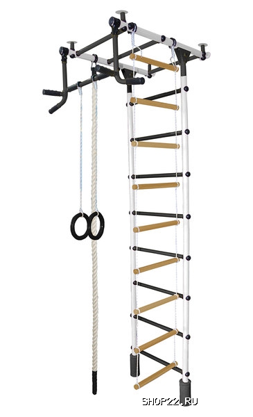 ������ ������� ���������� �������� �������-4� ���� ������� �������� � �������� - ����