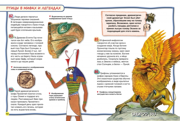 ������ ������ ����� (100 ������) 28096 � �������� - ����