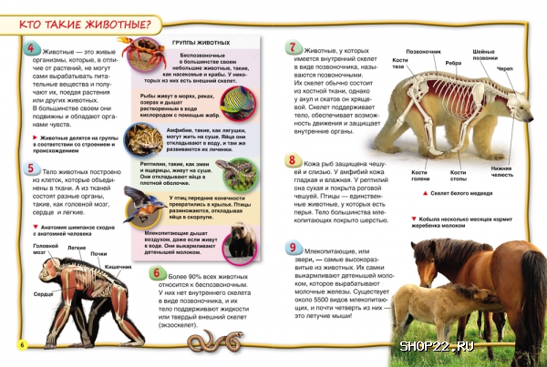 ������ �������� (100������) 28095 � �������� - ����