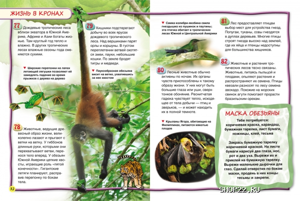 ������ �������� (100������) 28095 � �������� - ����