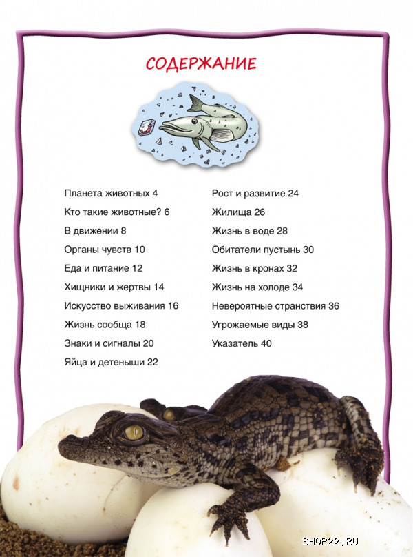 ������ �������� (100������) 28095 � �������� - ����