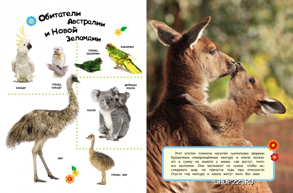 ������ ������������ 