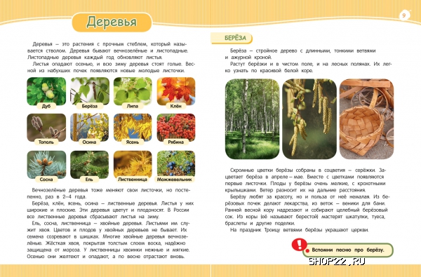 ������ ������ ��� �������� (���-��� ���������� � �����) 978-5-353-07381-9 � ���.16��. � �������� - ����