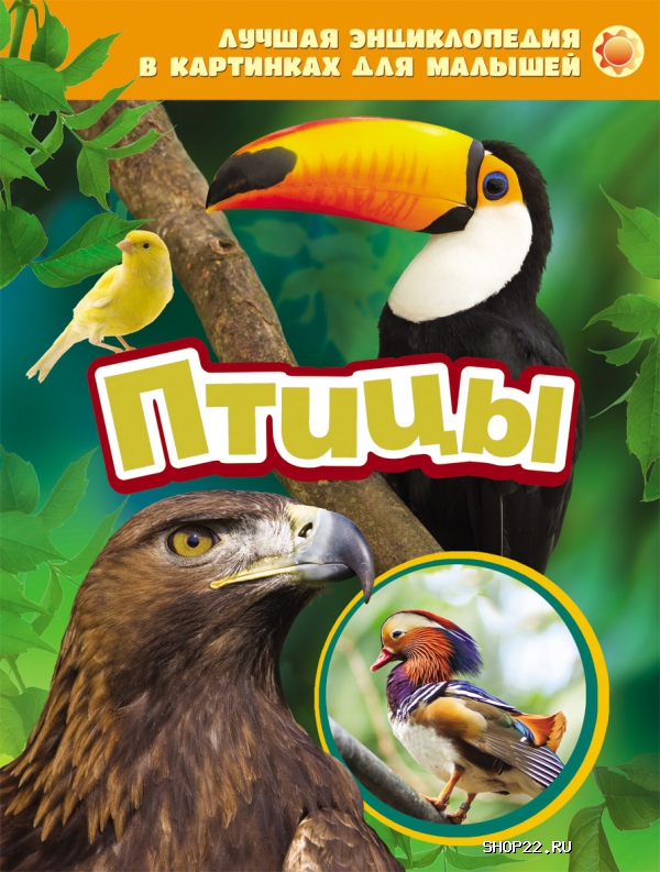 ������ ������������ 