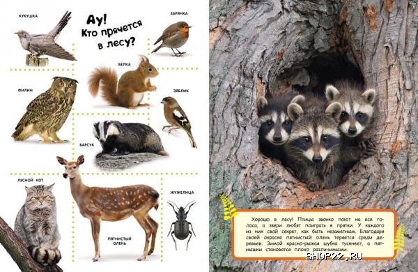 ������ ������������ 