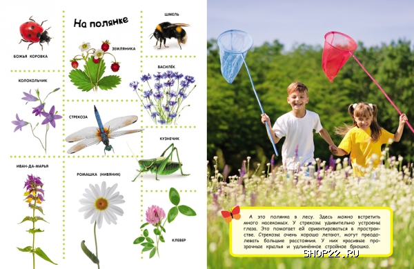 ������ ������������ 