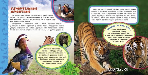 ������ �������� ������ (����� ������ ������������)18729 � �������� - ����