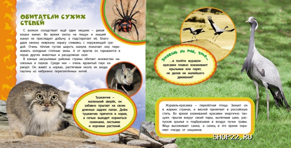 ������ �������� ������ (����� ������ ������������)18729 � �������� - ����