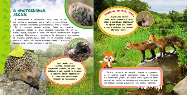 ������ �������� ������ (����� ������ ������������)18729 � �������� - ����