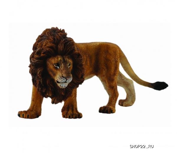 ������� ����������� ��� Collecta Gulliver (88414b)