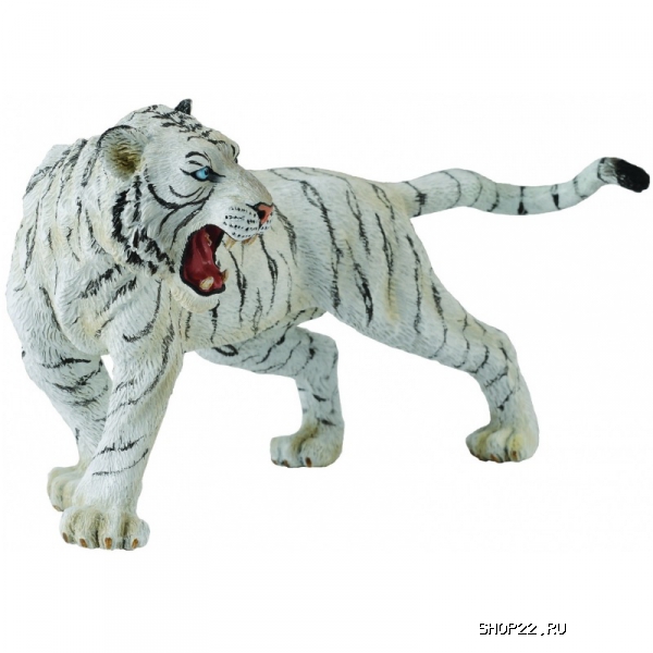 ������ Collecta ����� ���� XL 88426b � �������� - ����