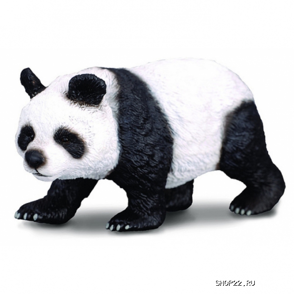 ������ Collecta ������� ����� L (9,6 ��) � �������� - ����