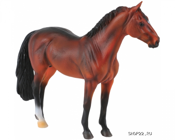 ������� ������������ ������� (�����) Collecta Gulliver (88431b)