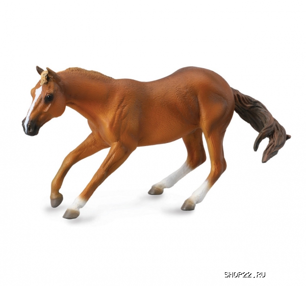 ������� ����������� (������-����������) Collecta Gulliver (88585b)