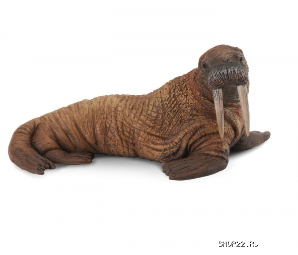 ������� ���� Collecta Gulliver (88569b)