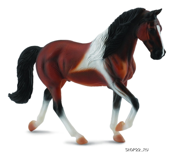 ������� ������������� ������� Collecta Gulliver (88450b)