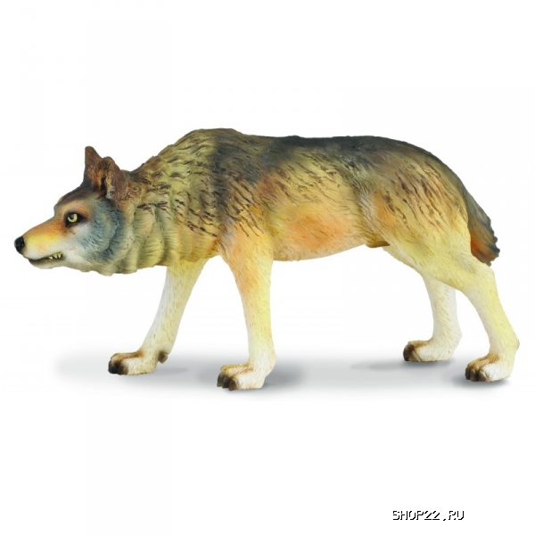 ������ Collecta ���� ���������� 88342b � �������� - ����