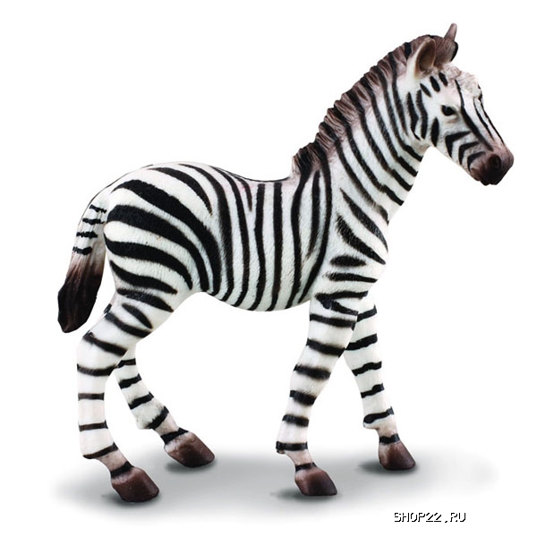 ������� ��������� ����� Collecta Gulliver (88168b)