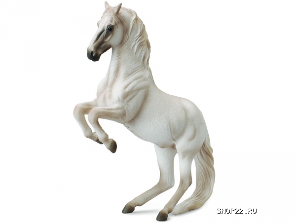 ������� ������� ��������� Collecta Gulliver (88518b)