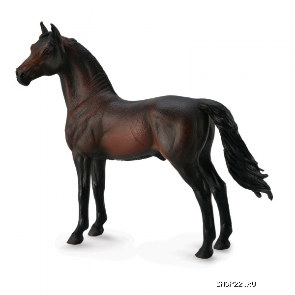 ������� ������� ������ Collecta Gulliver (88646b)