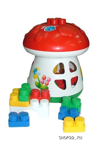 ������ ������� ����� - ���� 