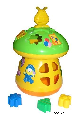 ������ ������� ����� - ���� 